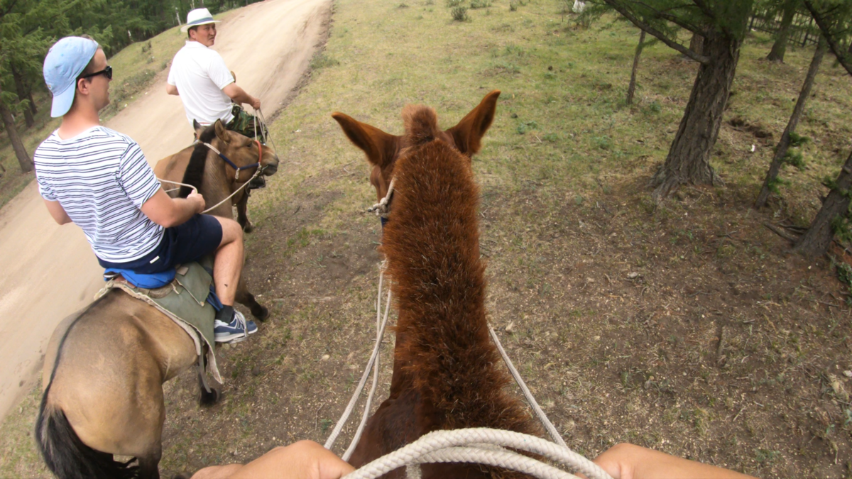 Photo 0a: Sur nos chevaux
